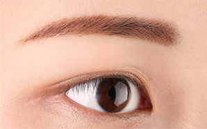 1 Light Brown