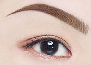 1 Brown Eyebrow