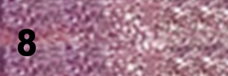 Liquid Eyeshadow 8