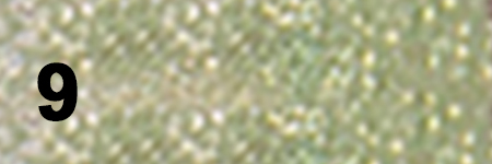 Liquid Eyeshadow 9