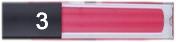 Liquid Lipstick 3