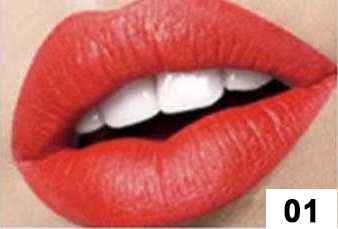 Matte Lipstick 1