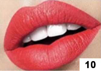 Matte Lipstick 10