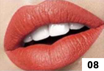 Matte Lipstick 8